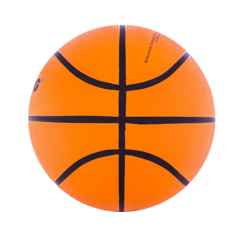 PELOTA-DRB-EVOLUTION