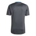 REMERA-ADIDAS-AFA-TR-JSY-NGO-CLT-ENTRENAMIENTO-HOMBRE