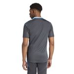 REMERA-ADIDAS-AFA-TR-JSY-NGO-CLT-ENTRENAMIENTO-HOMBRE