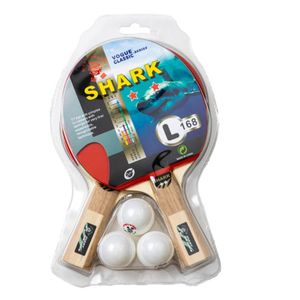 SET GIANT DRAGON 2 PALETAS 2* + 3 PELOTAS