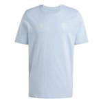 REMERA-ADIDAS-AFA-ANIVERSARIO-DNA-MODA-CLT-HOMBRE