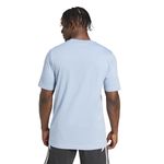REMERA-ADIDAS-AFA-ANIVERSARIO-DNA-MODA-CLT-HOMBRE