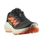 ZAPATILLAS-SALOMON-ALPHAGLIDE-TRAIL-RUNNING-NGO-NJA-HOMBRE-