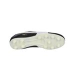 Botin-puma-Borussia-FG-104657-01-PLANTA-4