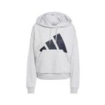 Canguro-Adidas-Essentials-Big-Logo-Moda-JN1844