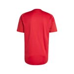 remera-adidas-river-plate-training-jn5715-DETRAS-2
