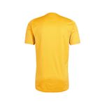 remera-adidas-boca-juniors-training-jp1940-ESPALDA-2