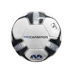 Pelota-munich-Prochampion615-2