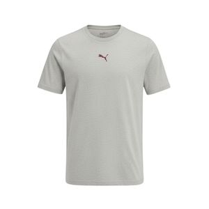 REMERA PUMA GRAPHIC ILLUSTRATED MODA GRS HOMBRE